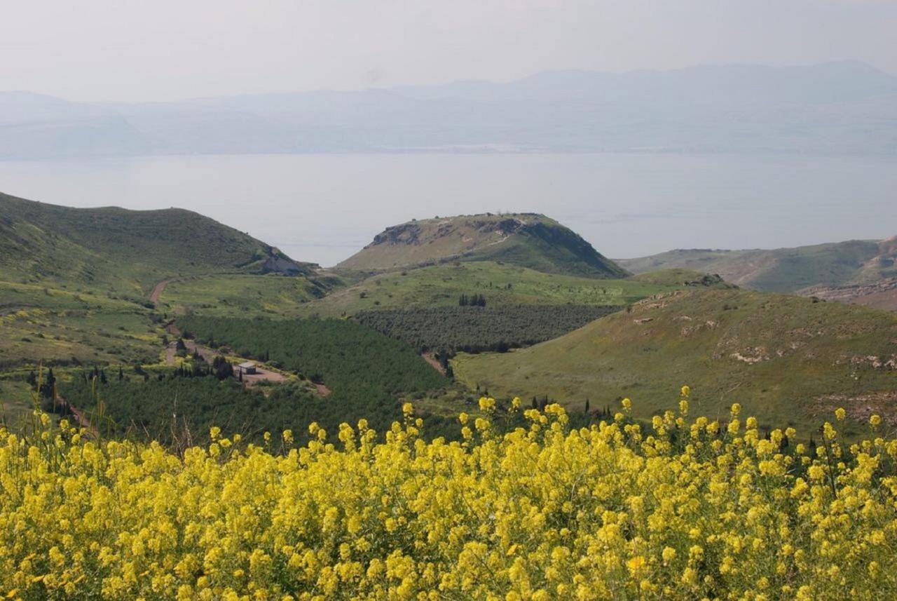 Lakeside Terrace Neot Golan エクステリア 写真